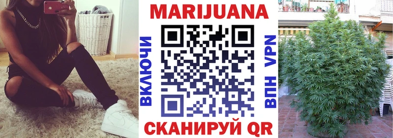 где купить   Кашин  МАРИХУАНА план 